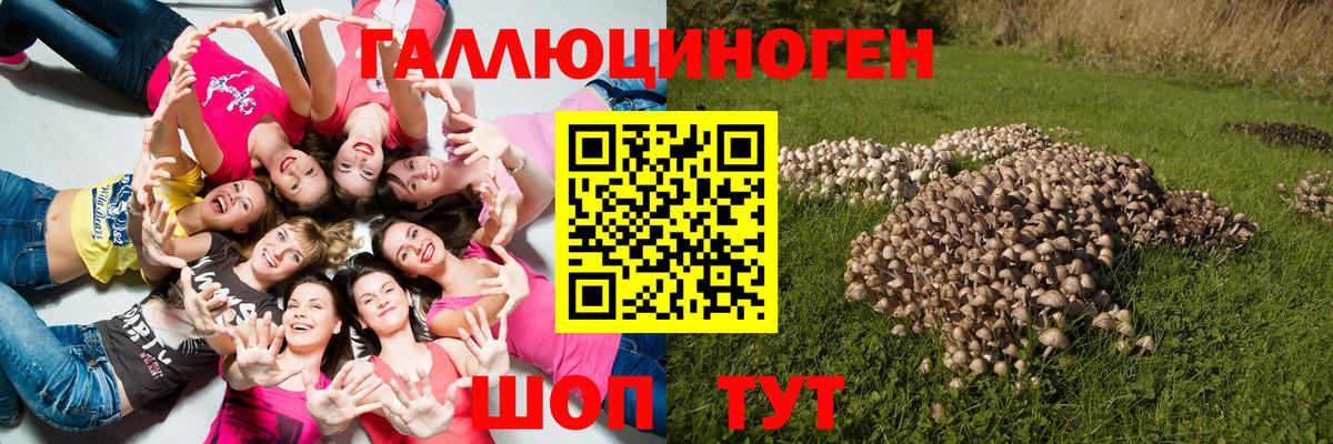 закладка  Псилоцибиновые грибы Cubensis  Вход с VPN  Чайковский 